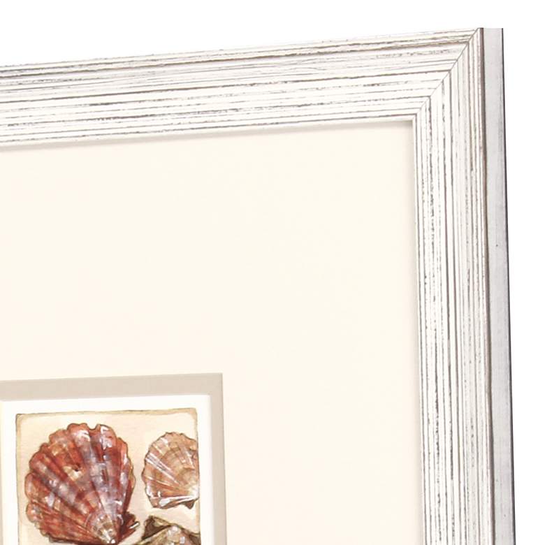 Image 4 Shell Study 19 inch Square 2-Piece Giclee Framed Wall Art Set more views