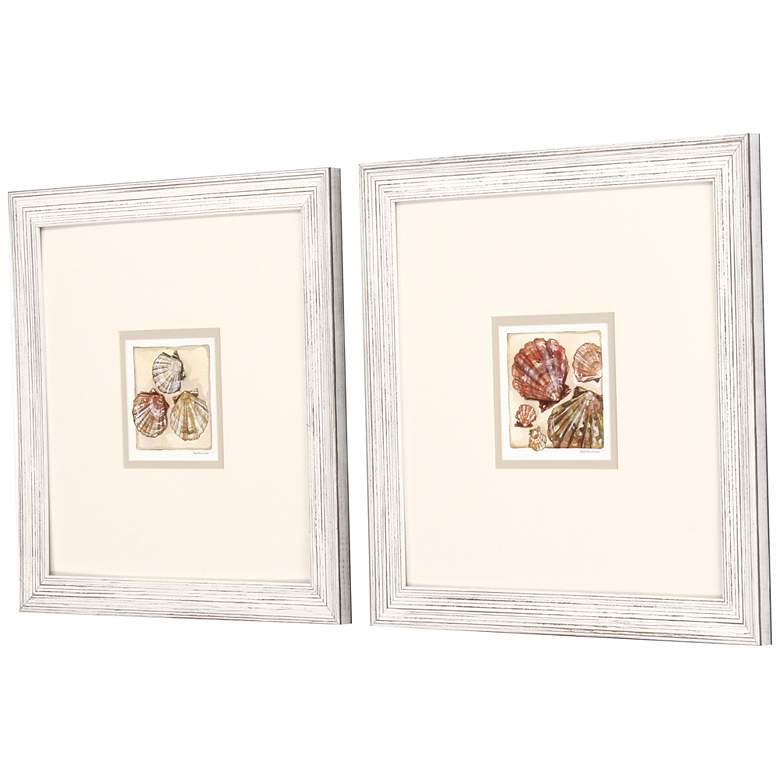 Image 5 Shell Study 19 inch Square 2-Piece Giclee Framed Wall Art Set more views