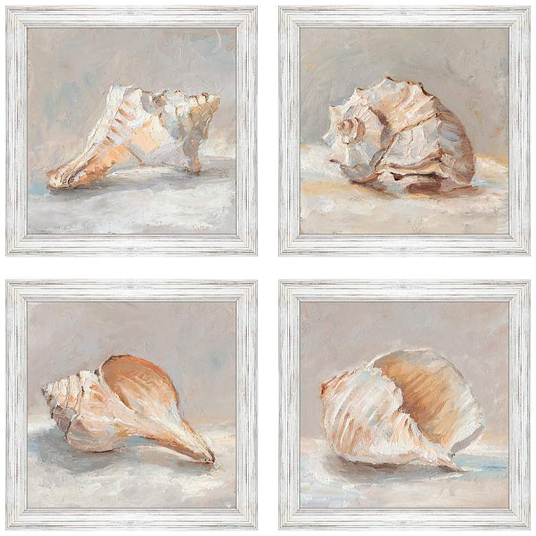Image 3 Shell Study 19" Square 4-Piece Giclee Framed Wall Art Set