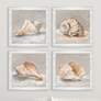 Shell Study 19" Square 4-Piece Giclee Framed Wall Art Set in scene