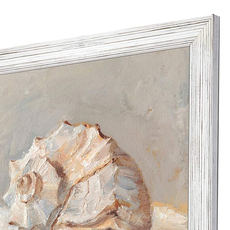 Image 4 Shell Study 19" Square 4-Piece Giclee Framed Wall Art Set more views