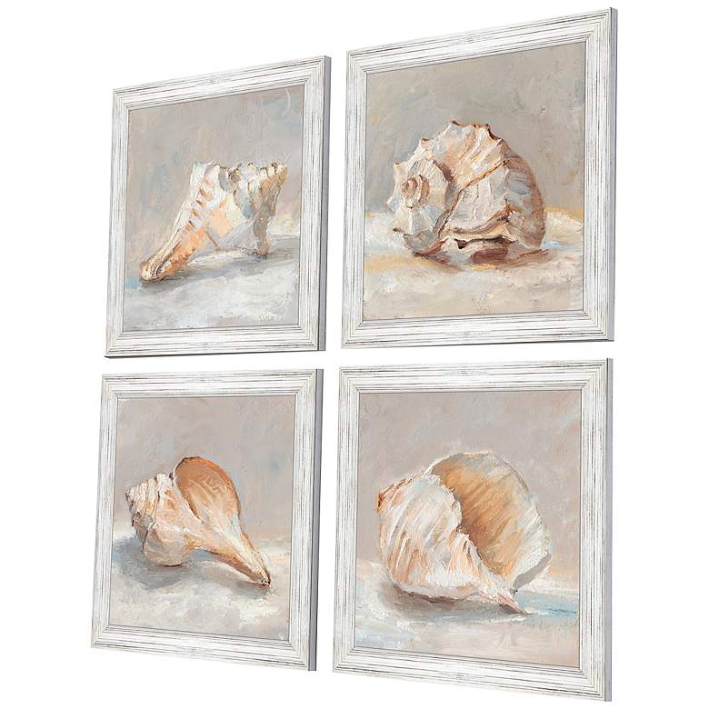 Image 5 Shell Study 19" Square 4-Piece Giclee Framed Wall Art Set more views