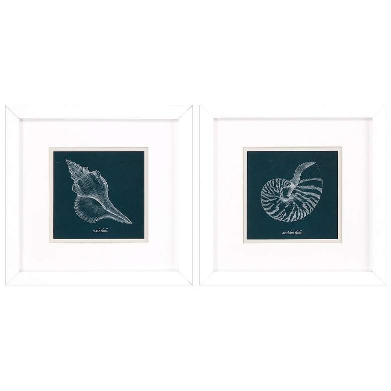 Image 1 Shell Study on Teal A 11"W x 11"H Framed Art Set of 2