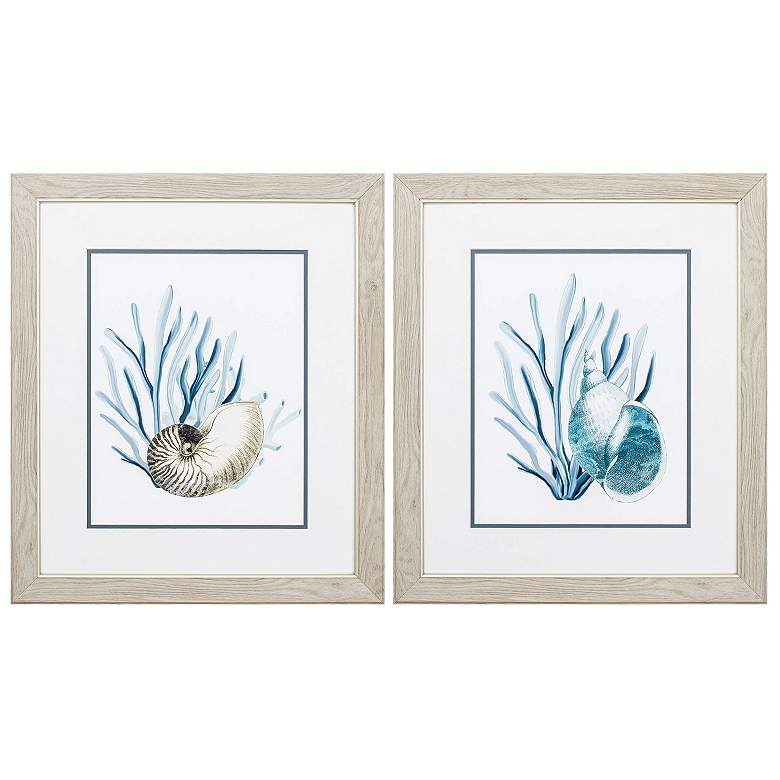 Image 1 Shells & Seaweeds 19"W x 22"H Framed Art Set of 2