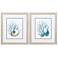 Shells & Seaweeds 19"W x 22"H Framed Art Set of 2