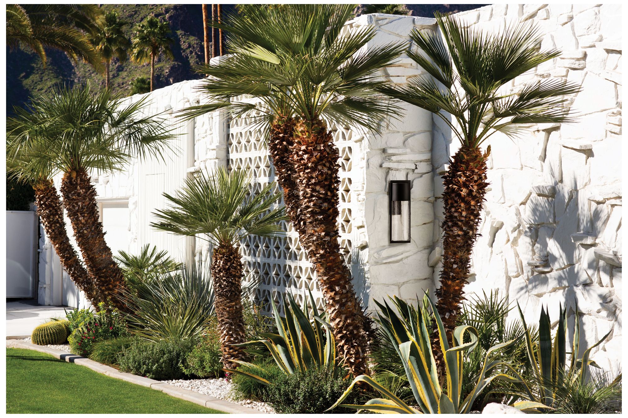 Shelter 23 1/4" High Buckeye Bronze LED Outdoor Wall Light