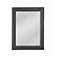Shiva Dark Gray 32" x 42" Rectangular Wall Mirror