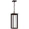Shore Pointe 20 3/4"H Bronze LED Outdoor Hanging Light