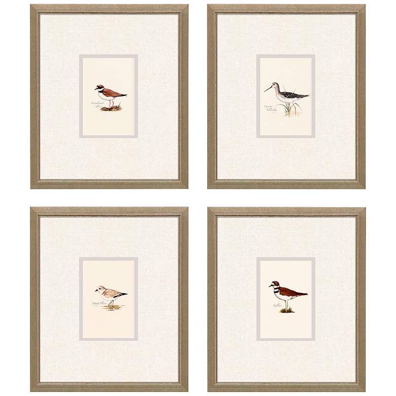 Image 2 Shorebirds 11" High 4-Piece Rectangular Framed Wall Art Set