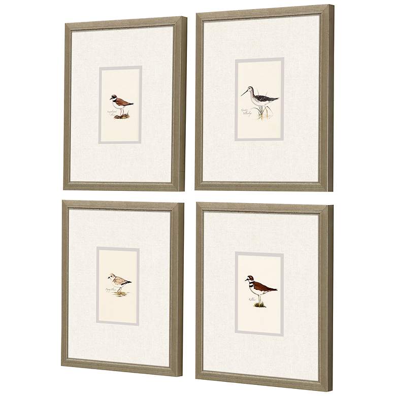 Image 4 Shorebirds 11" High 4-Piece Rectangular Framed Wall Art Set more views