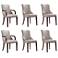 Shubert 6-Piece Modern Leatherette & Velvet Dining Chair Set in Light G