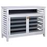 Shutter 49.8" Wide White and Navy Coastal Striped Glass Door Cabinet
