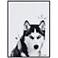 Siberian Husky 24"x18" Printed Glass Framed Wall Art