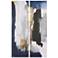 Silver Elegance I&II" on Silver Shagreen Wrapped Canvas Wall Art Set