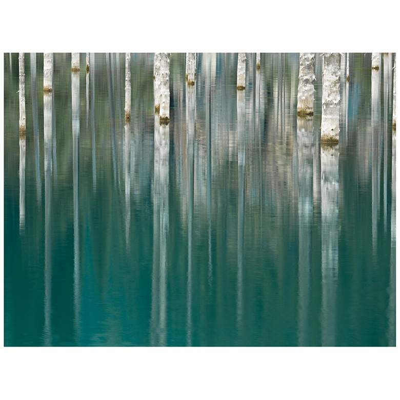 Image 1 Silver Lake 40" Wide All-Season Outdoor Canvas Wall Art
