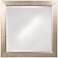 Silver Leaf Square 40" Wide Wall Mirror