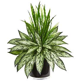 Image1 of Silver Queen and Grass Artificial Plant in Black Vase