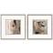 Silver Shadows II 27"W x 27"H Framed Art Set of 2