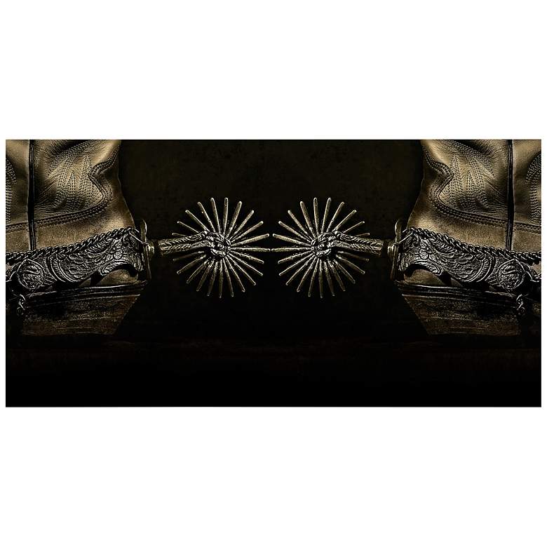 Image 2 Silver Spur Spiral 48" x 24" Frameless Print Glass Wall Art