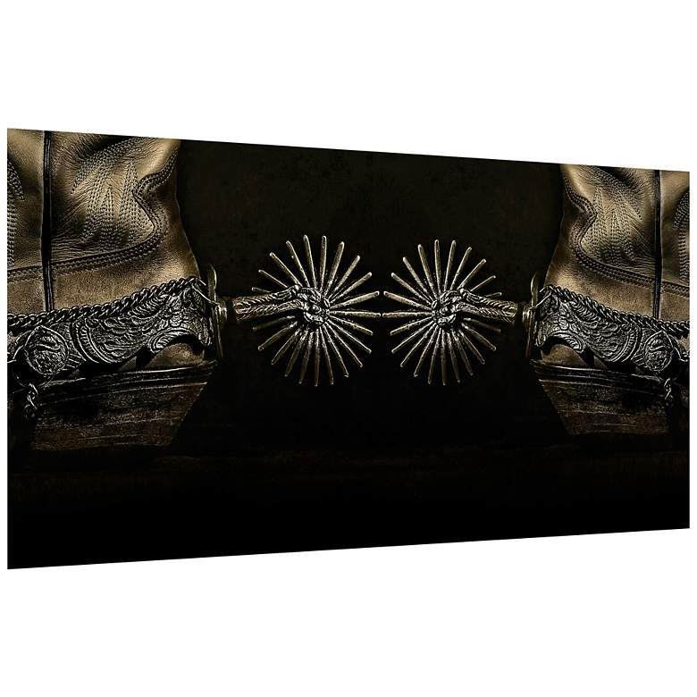 Image 3 Silver Spur Spiral 48 inch x 24 inch Frameless Print Glass Wall Art more views