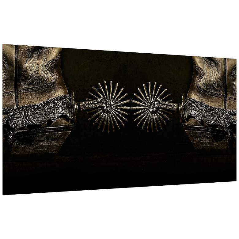 Image 3 Silver Spur Spiral 48" x 24" Frameless Print Glass Wall Art more views