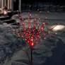Silver Taped 39" High Decorative Bush with Red LED Lights