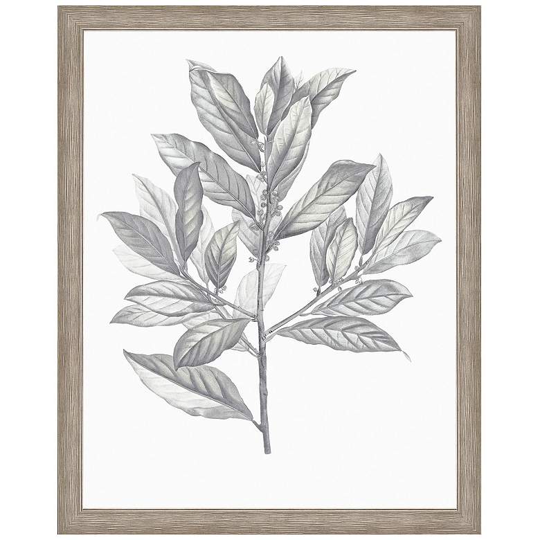 Image 1 Silvered Leaves III 31"W x 40"H Framed Art