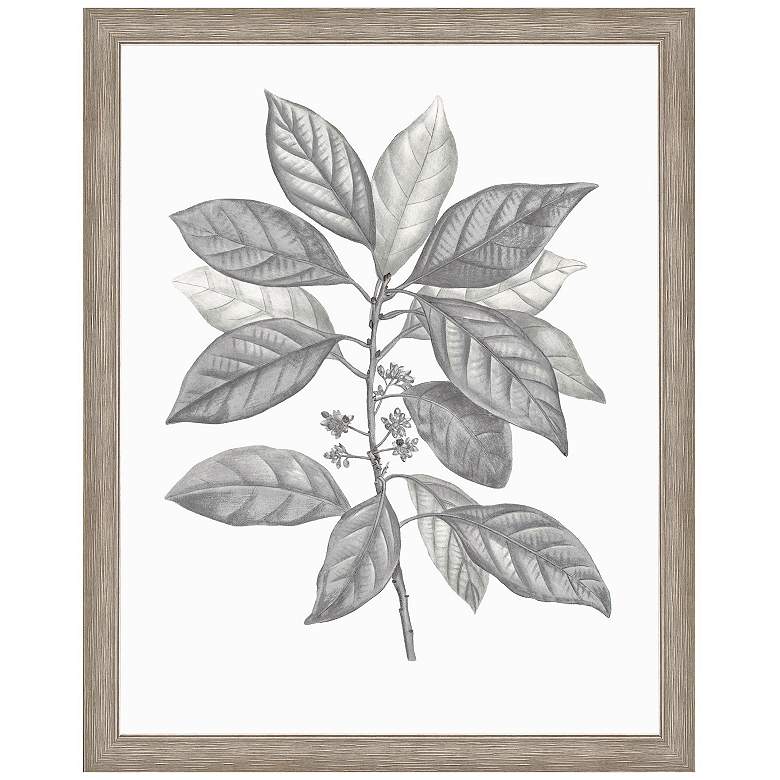 Image 1 Silvered Leaves IV 31"W x 40"H Framed Art
