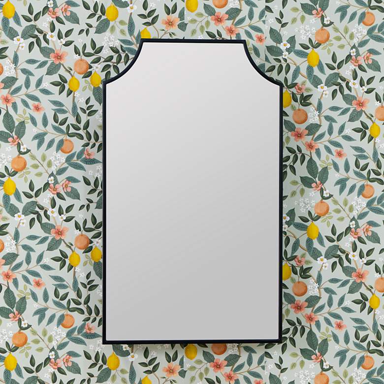 Image 1 Simone Black 21" x 36" Medicine Cabinet with Mirror