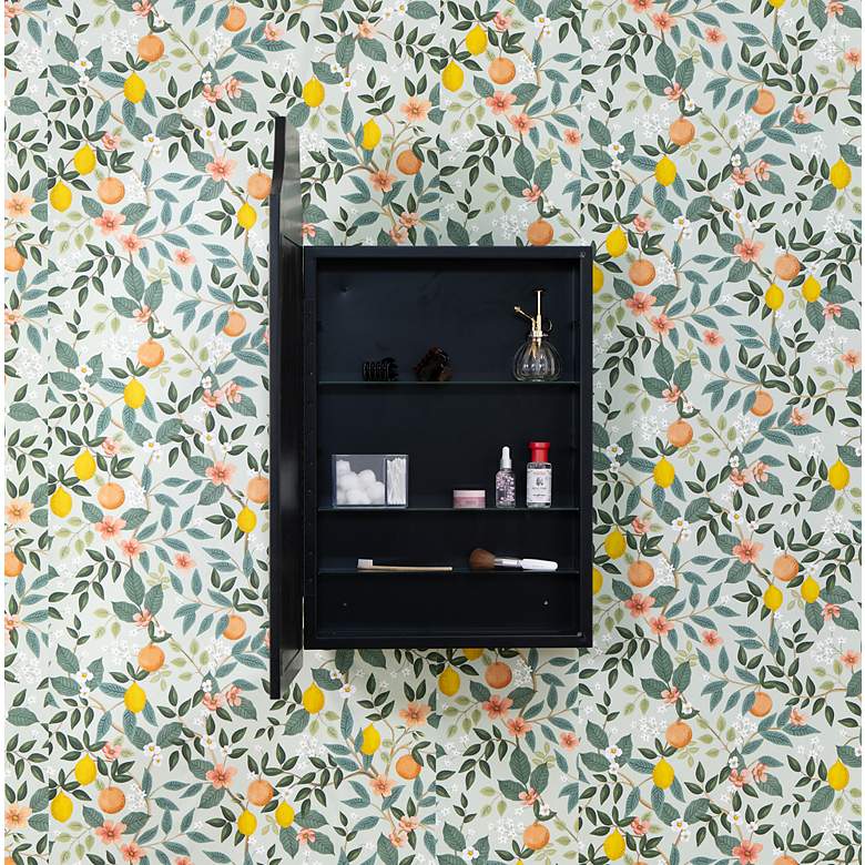 Image 7 Simone Black 21" x 36" Medicine Cabinet with Mirror more views