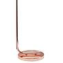 Simple Design Rose Gold Iron and Glass Lantern Floor Lamp