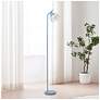 1_Simple Designs 54.5" Industrial Metal Floor Lamp with Wire Cage Shade, Blue