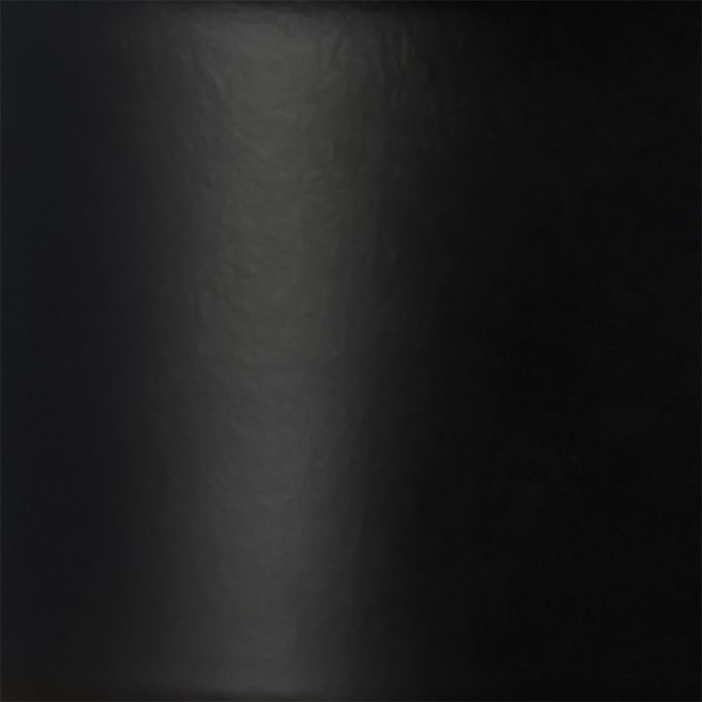 Simple Designs 63" Modern Black Iron Floor Lamp