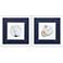 Simple Shells 11"W x 11"H Framed Art Set of 2