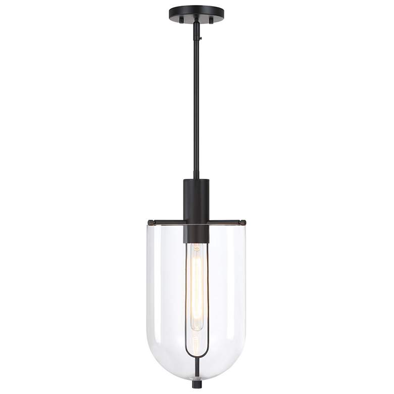 Image 1 Skylar 60Watt 1-Light 10"Matte Black Pendant Light with Glass Shade