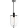 Skylar 60Watt 1-Light 10"Matte Black Pendant Light with Glass Shade