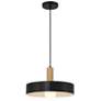 1_Slate 13 3/4"W Black w/ Antique Brushed Brass Pendant Light