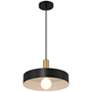 4_Slate 13 3/4"W Black w/ Antique Brushed Brass Pendant Light more views