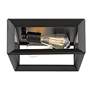 3_Smyth 11 1/2" Wide Matte Black 2-Light Ceiling Light more views