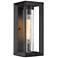 Smyth 14" High Natural Black Seeded Glass Outdoor Wall Light