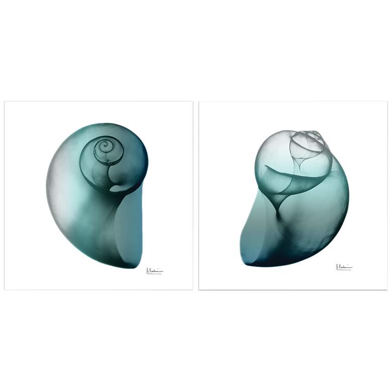 Image 3 Snail 48" Wide Free Floating 2-Piece Glass Wall Art
