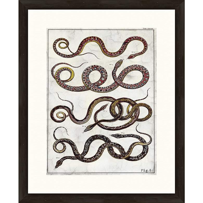 Image 1 Snakes 22 inch Framed Giclee Wall Art
