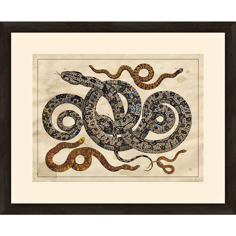 Image 1 Snakes 22 inch Wide Traditional Giclee Framed Wall Art