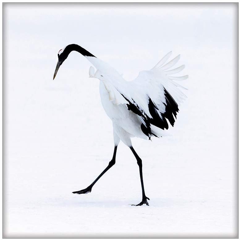 Image 1 Snowy Egret Dance 1 36 In. by 36 In.  Framed Art