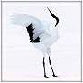 Snowy Egret Dance 2 36 In. by 36 In.  Framed Art