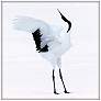 Snowy Egret Dance 2 36" Square Framed Wall Art