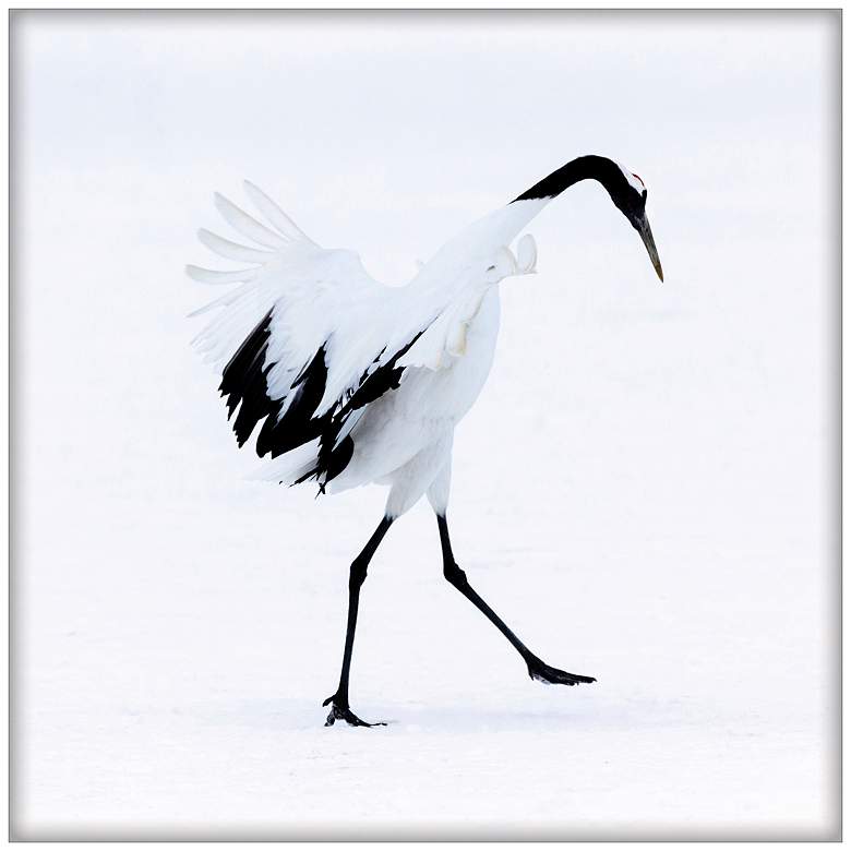 Image 1 Snowy Egret Dance 3 36" Square Framed Wall Art