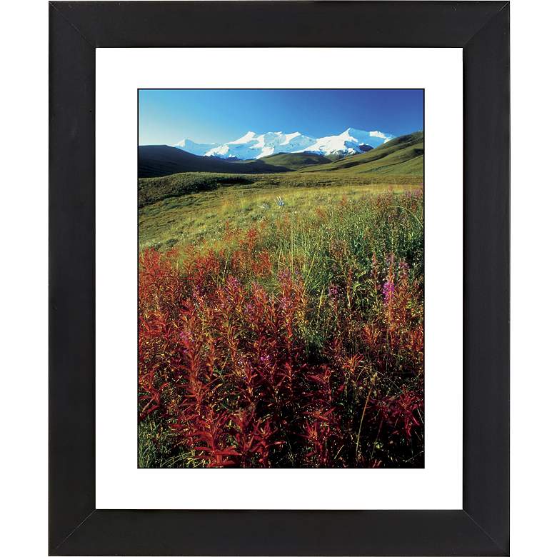Image 1 Snowy Mount W/Wildflowers Black Frame 23 1/4 inch High Wall Art
