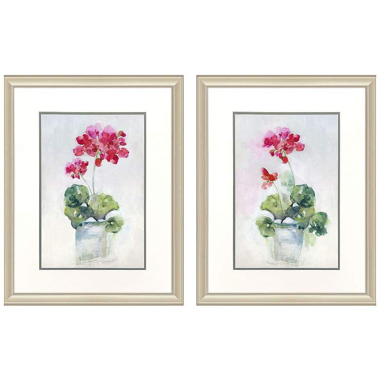 Image 1 Soft Geranium 20"W x 26"H Framed Art - Set of 2