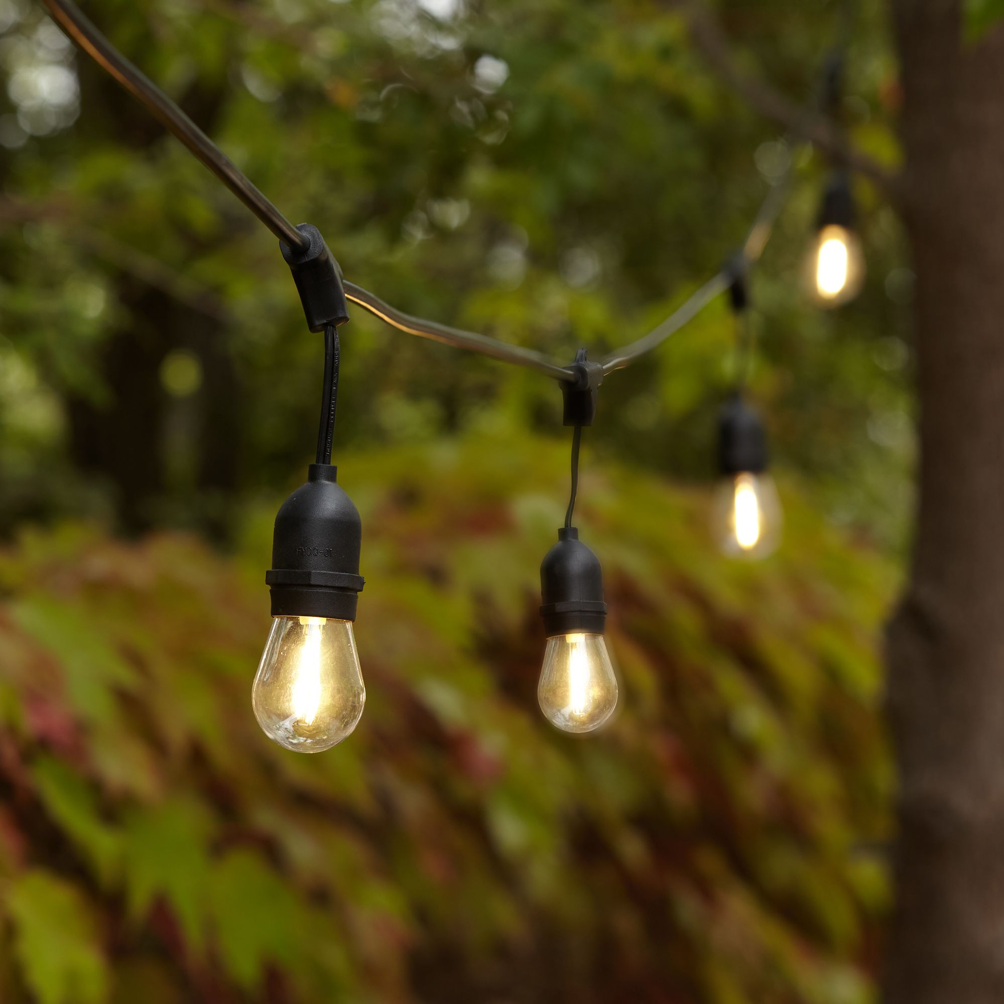 string lights with solar panel